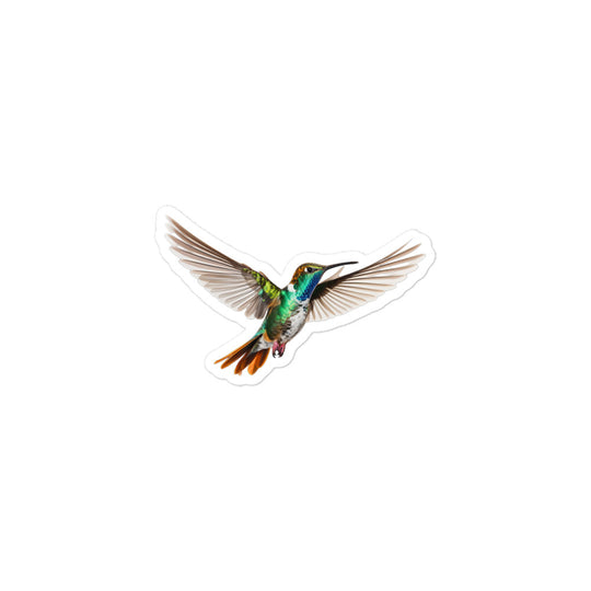 Hummingbird Sticker - Stickerfy.ai