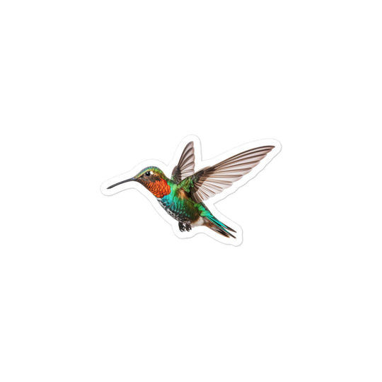 Hummingbird Sticker - Stickerfy.ai