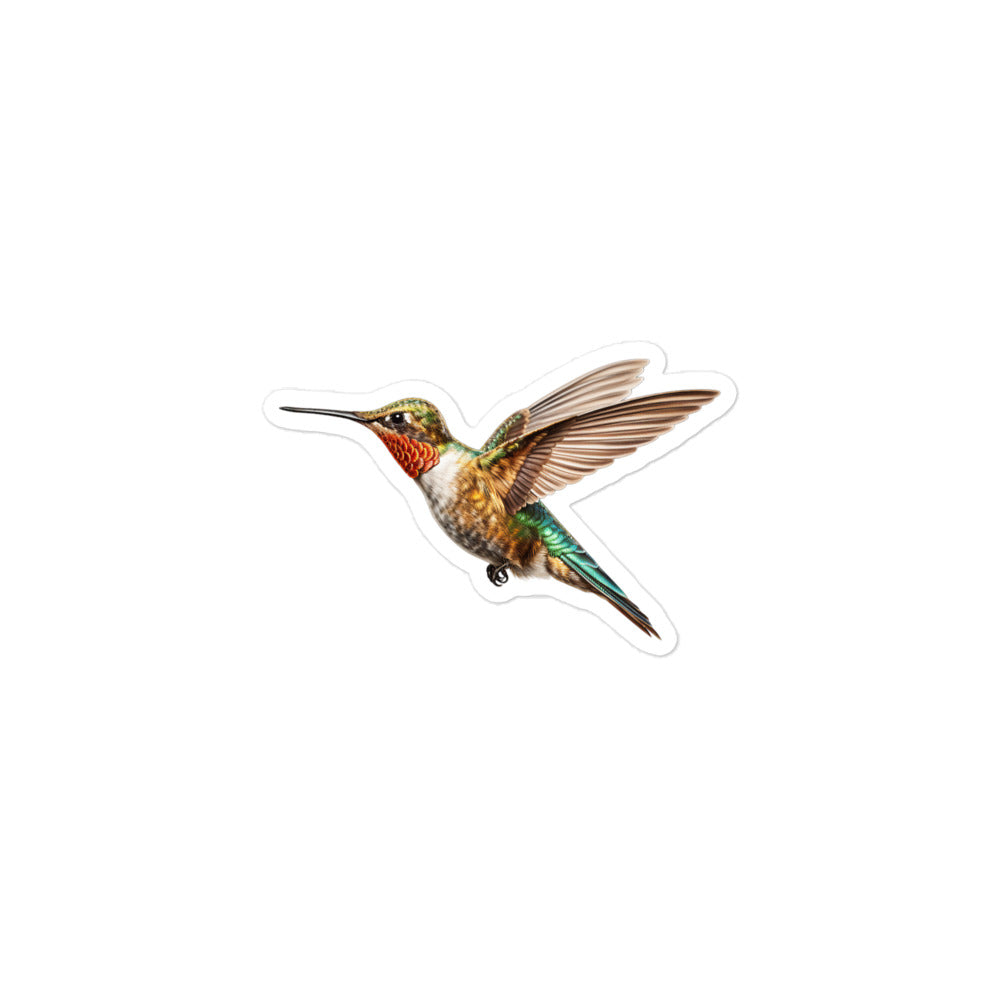 Hummingbird Sticker - Stickerfy.ai