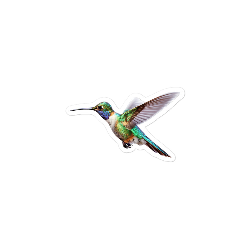 Hummingbird Sticker - Stickerfy.ai