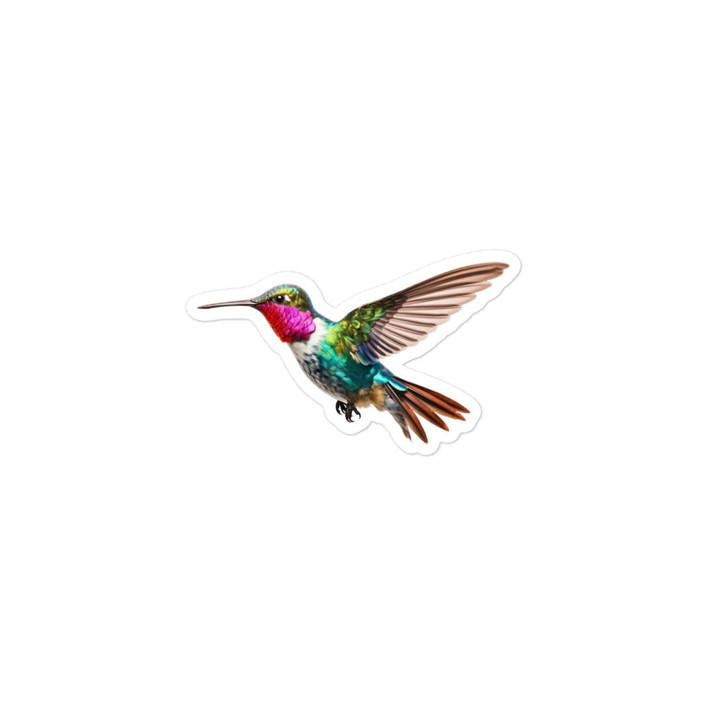 Hummingbird Sticker - Stickerfy.ai