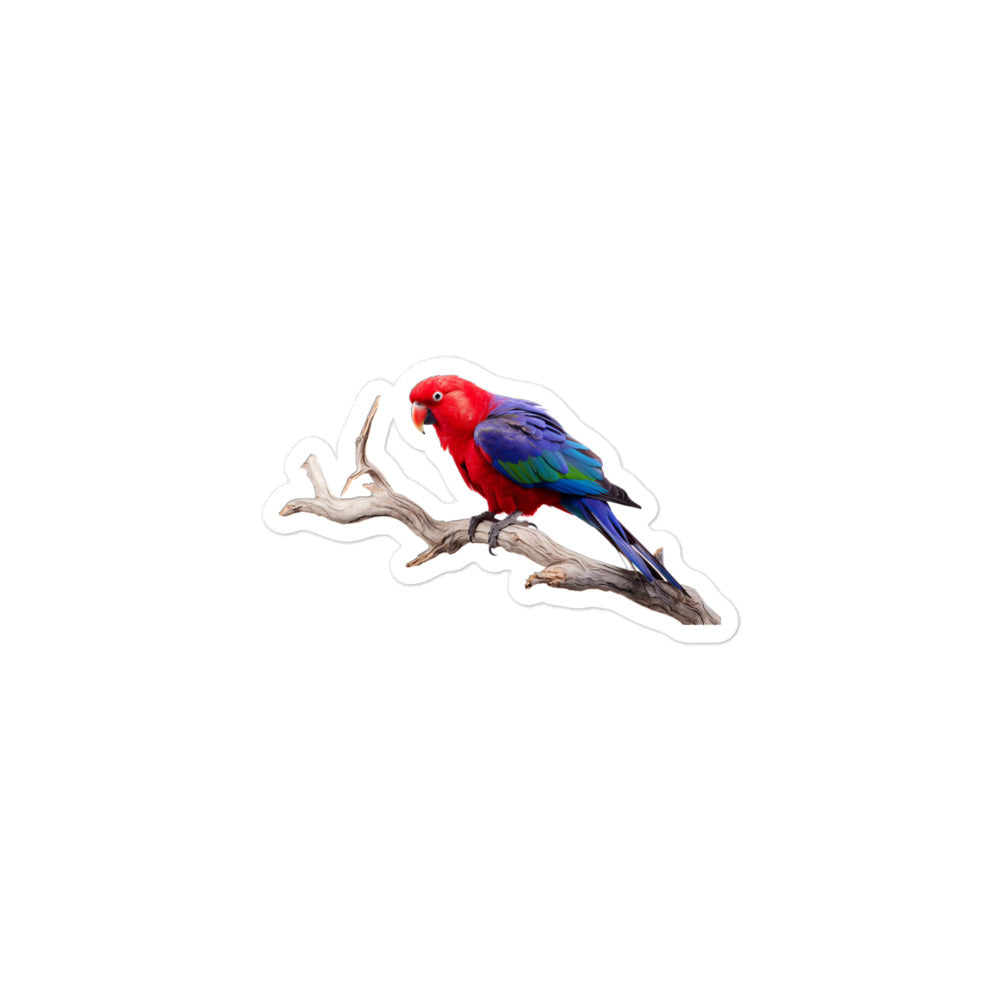 Eclectus Parrot Sticker - Stickerfy.ai