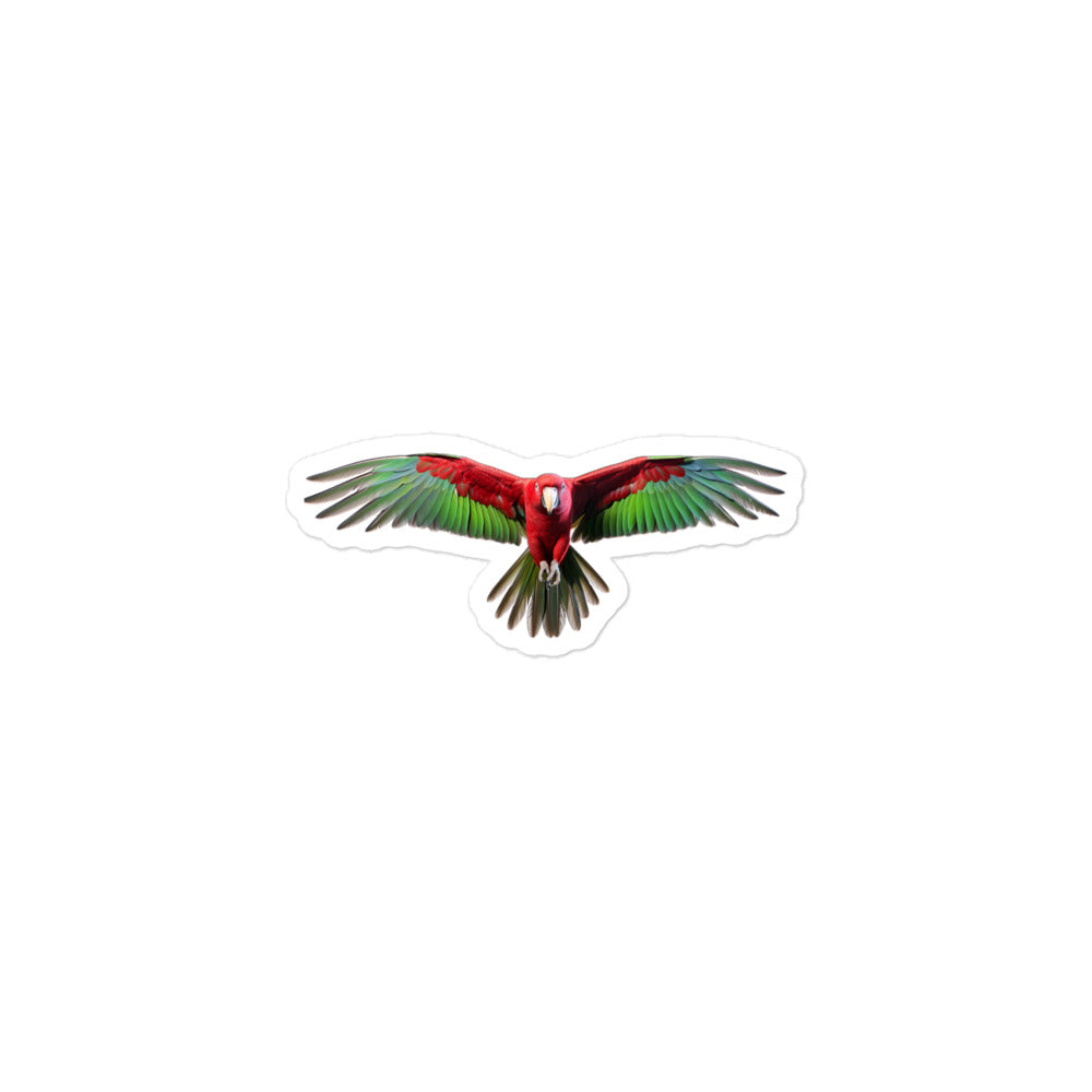 Eclectus Parrot Sticker - Stickerfy.ai