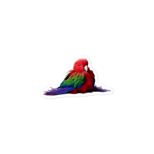 Eclectus Parrot Sticker - Stickerfy.ai