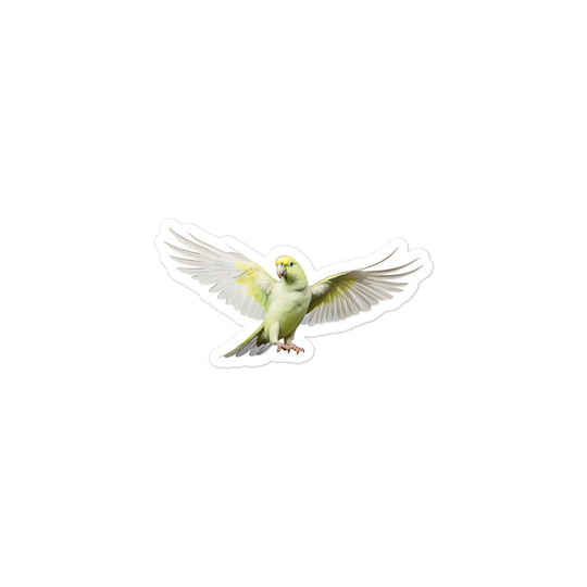 Quaker Parrot Sticker - Stickerfy.ai