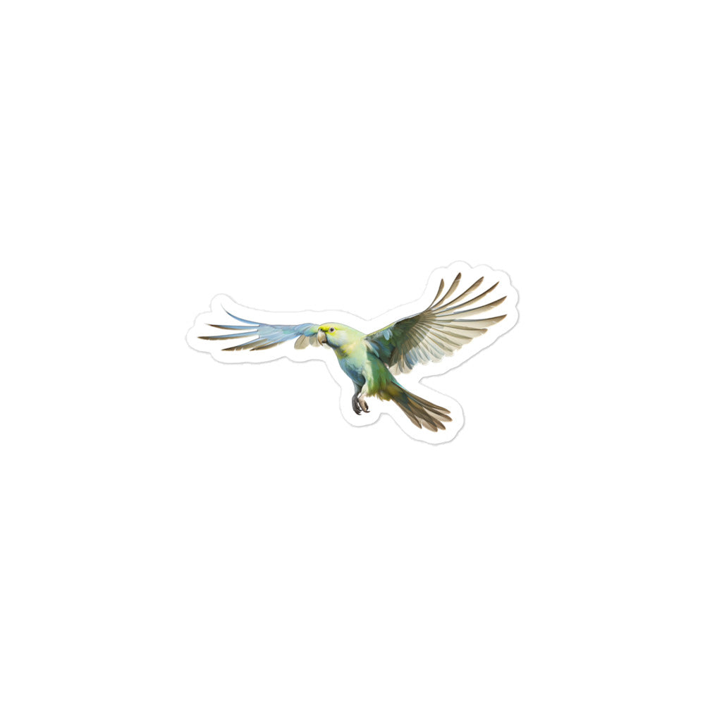 Quaker Parrot Sticker - Stickerfy.ai