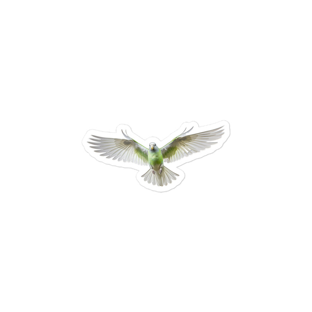 Quaker Parrot Sticker - Stickerfy.ai