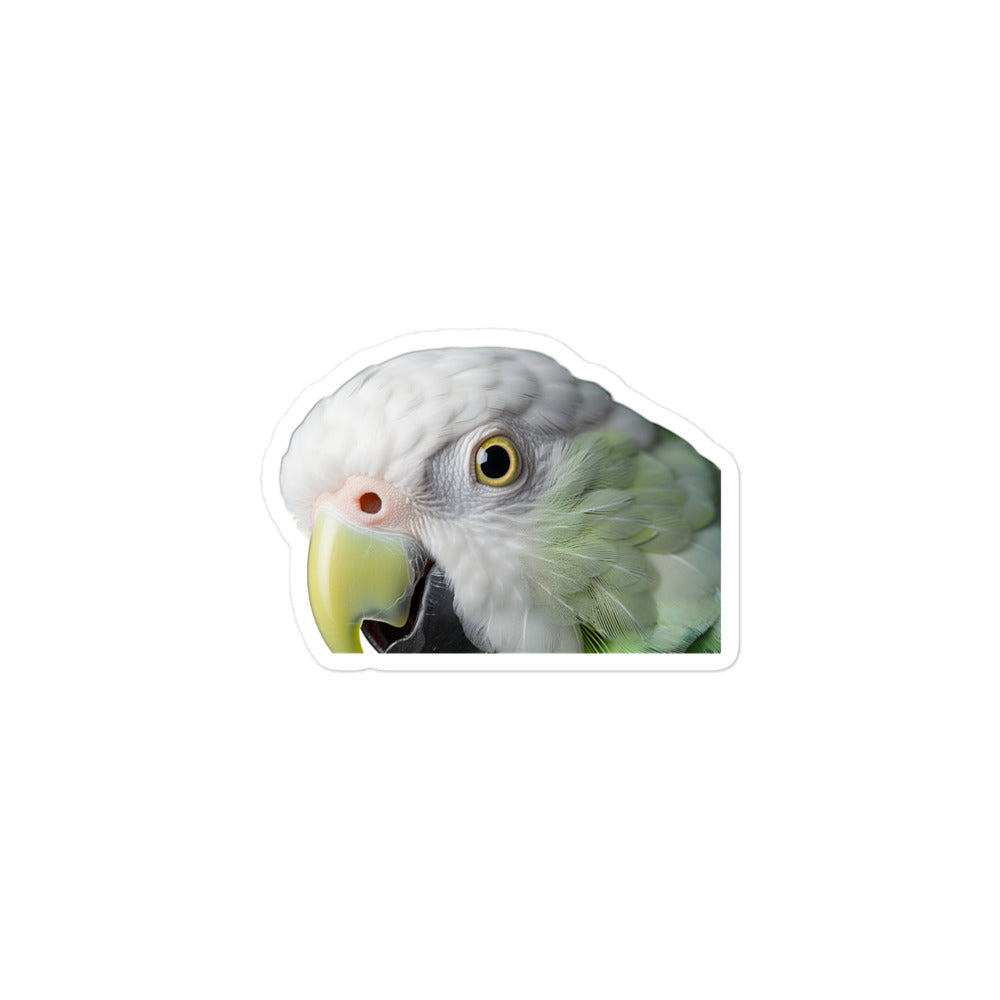 Quaker Parrot Sticker - Stickerfy.ai