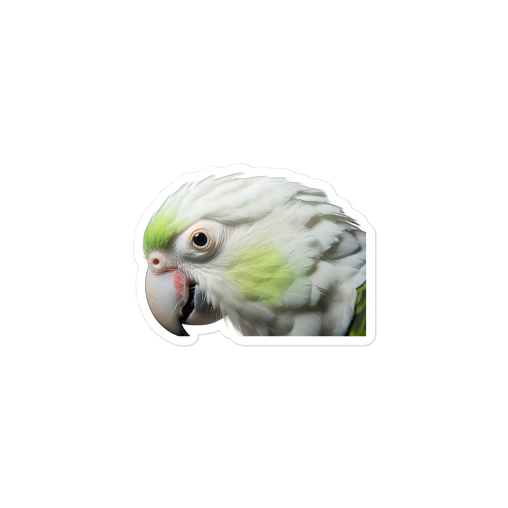 Quaker Parrot Sticker - Stickerfy.ai