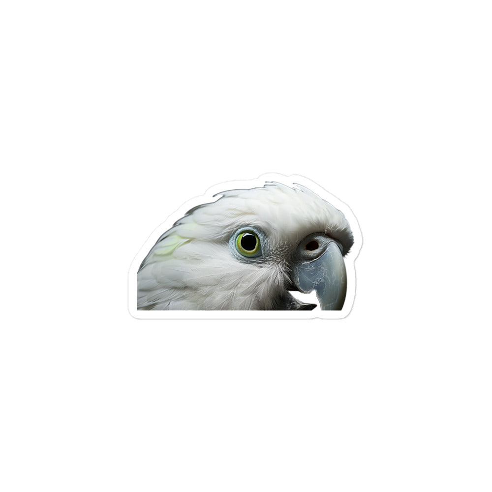 Quaker Parrot Sticker - Stickerfy.ai