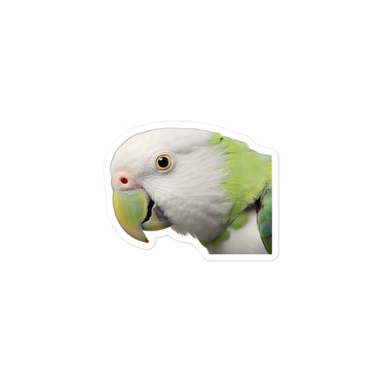 Quaker Parrot Sticker - Stickerfy.ai