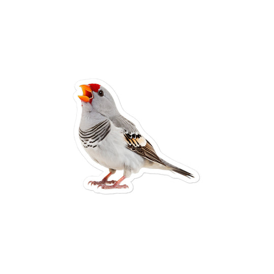 Zebra Finch Sticker - Stickerfy.ai