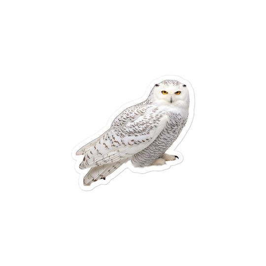 Snowy Owl Sticker - Stickerfy.ai