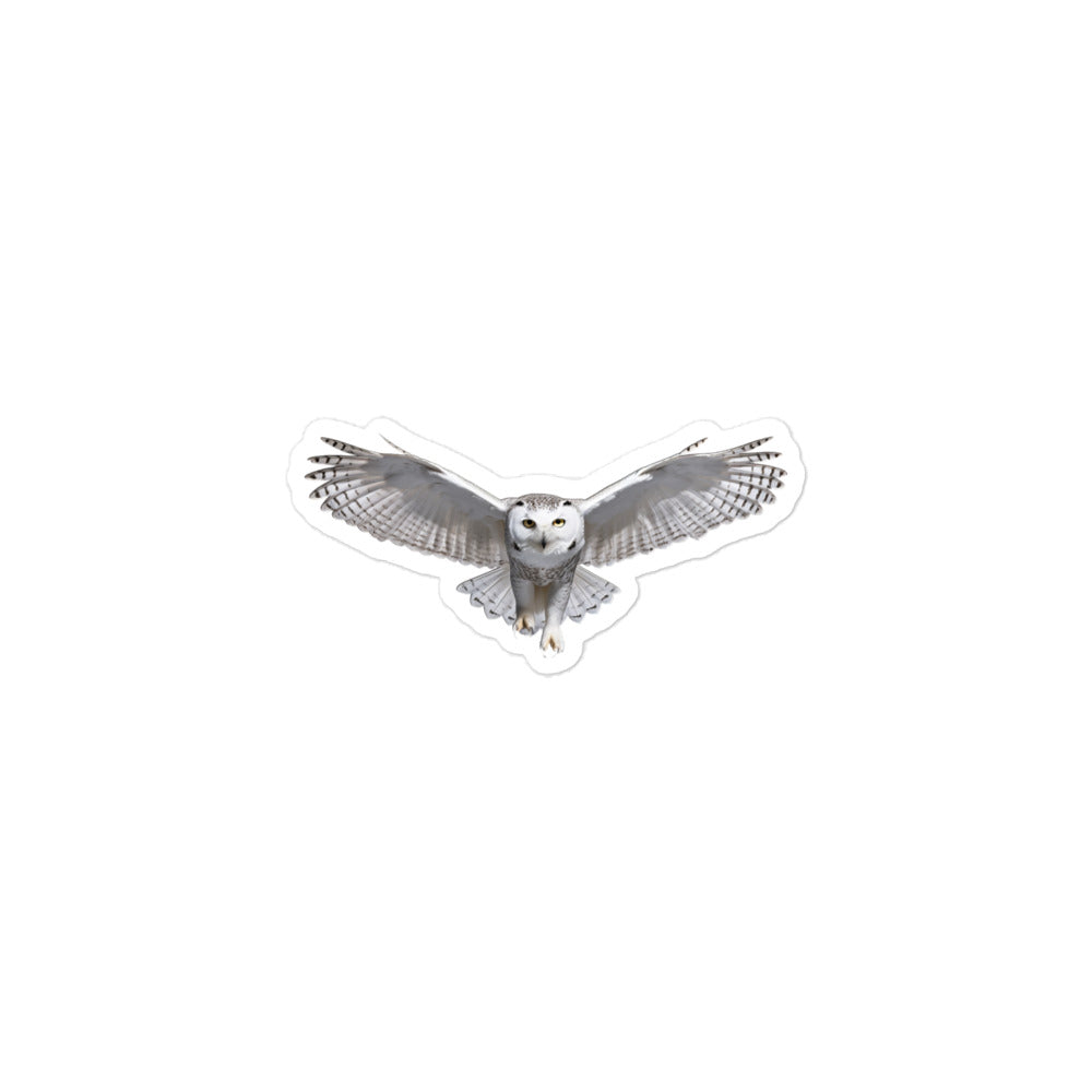 Snowy Owl Sticker - Stickerfy.ai