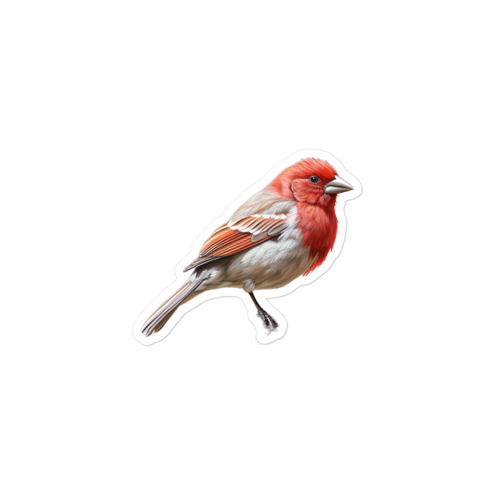 Red Headed Finch Sticker - Stickerfy.ai