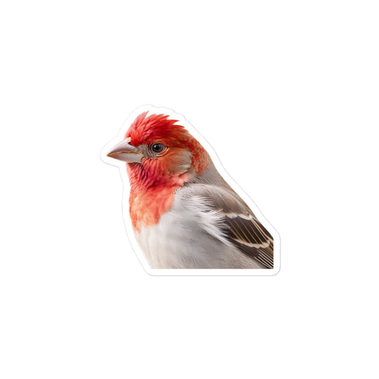 Red Headed Finch Sticker - Stickerfy.ai