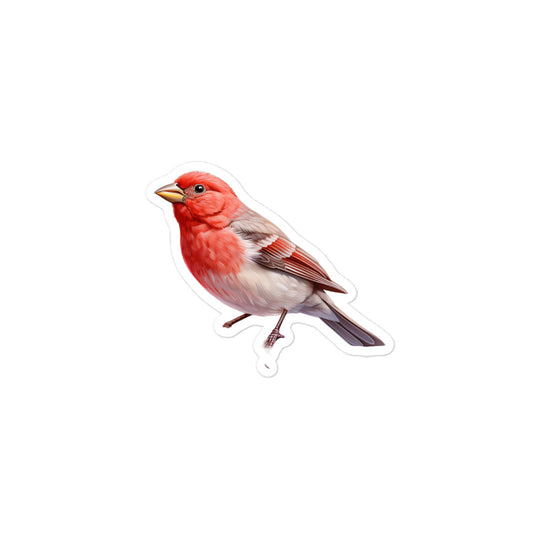 Red Headed Finch Sticker - Stickerfy.ai