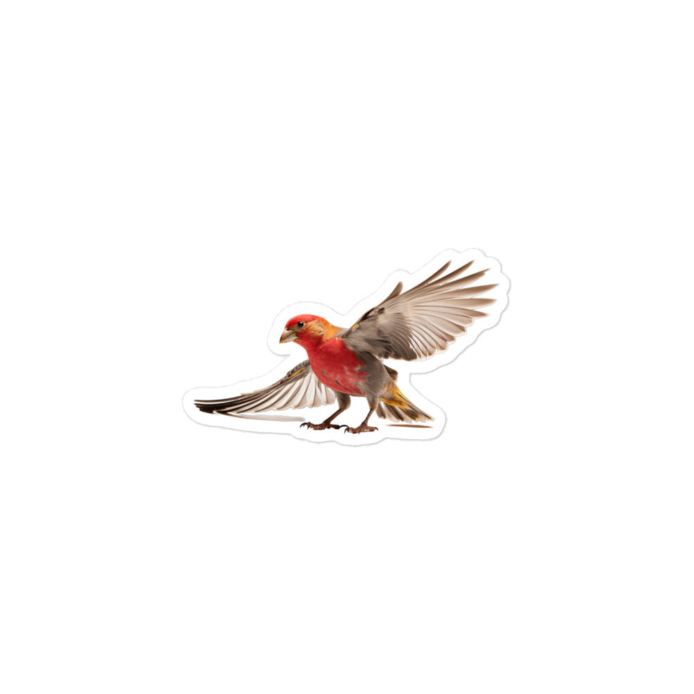 Red Headed Finch Sticker - Stickerfy.ai