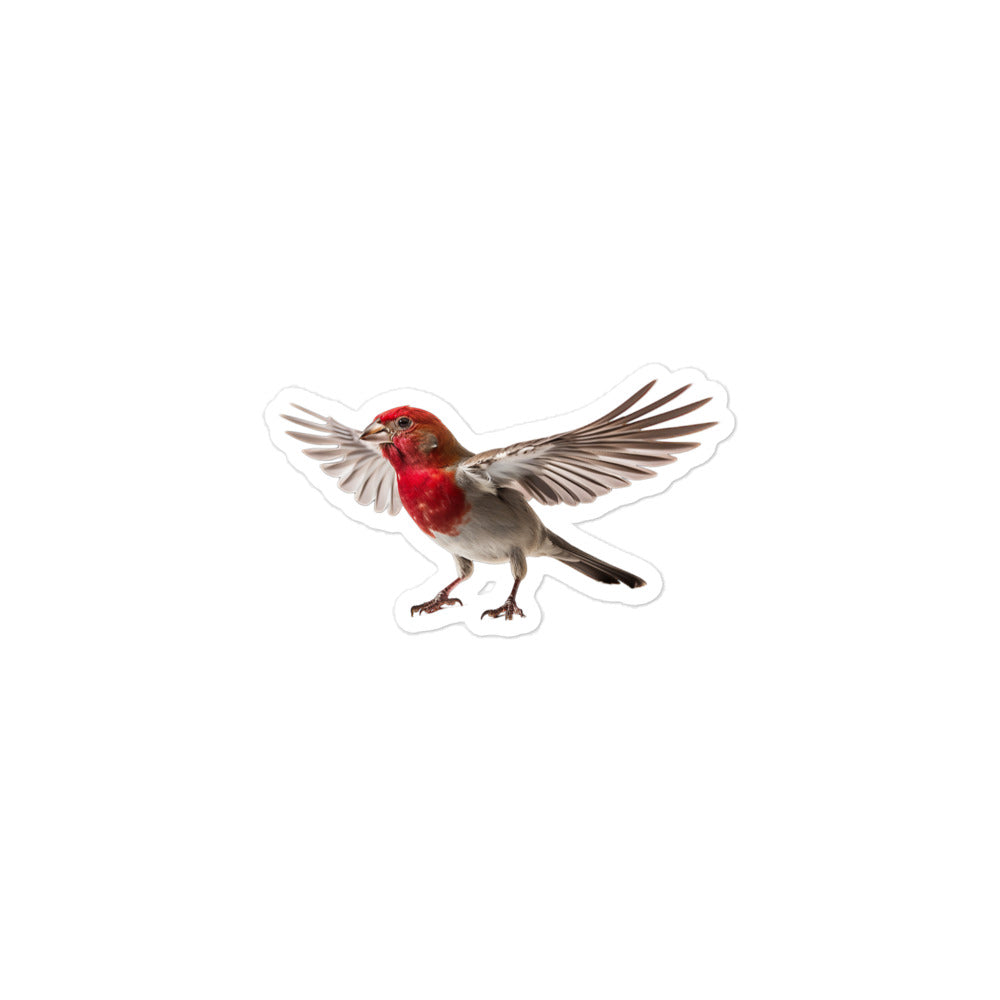 Red Headed Finch Sticker - Stickerfy.ai