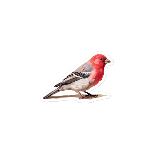 Red Headed Finch Sticker - Stickerfy.ai