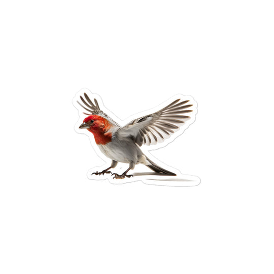 Red Headed Finch Sticker - Stickerfy.ai