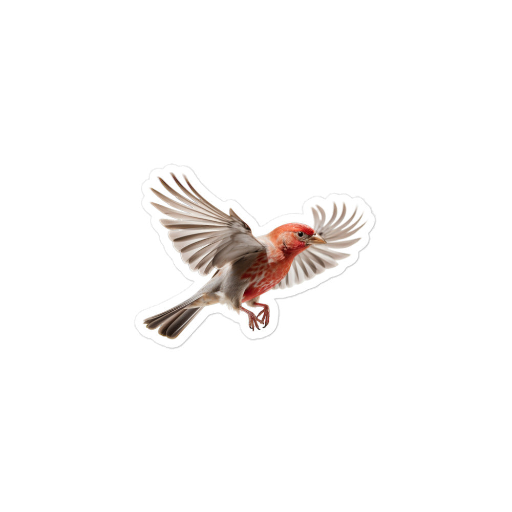 Red Headed Finch Sticker - Stickerfy.ai