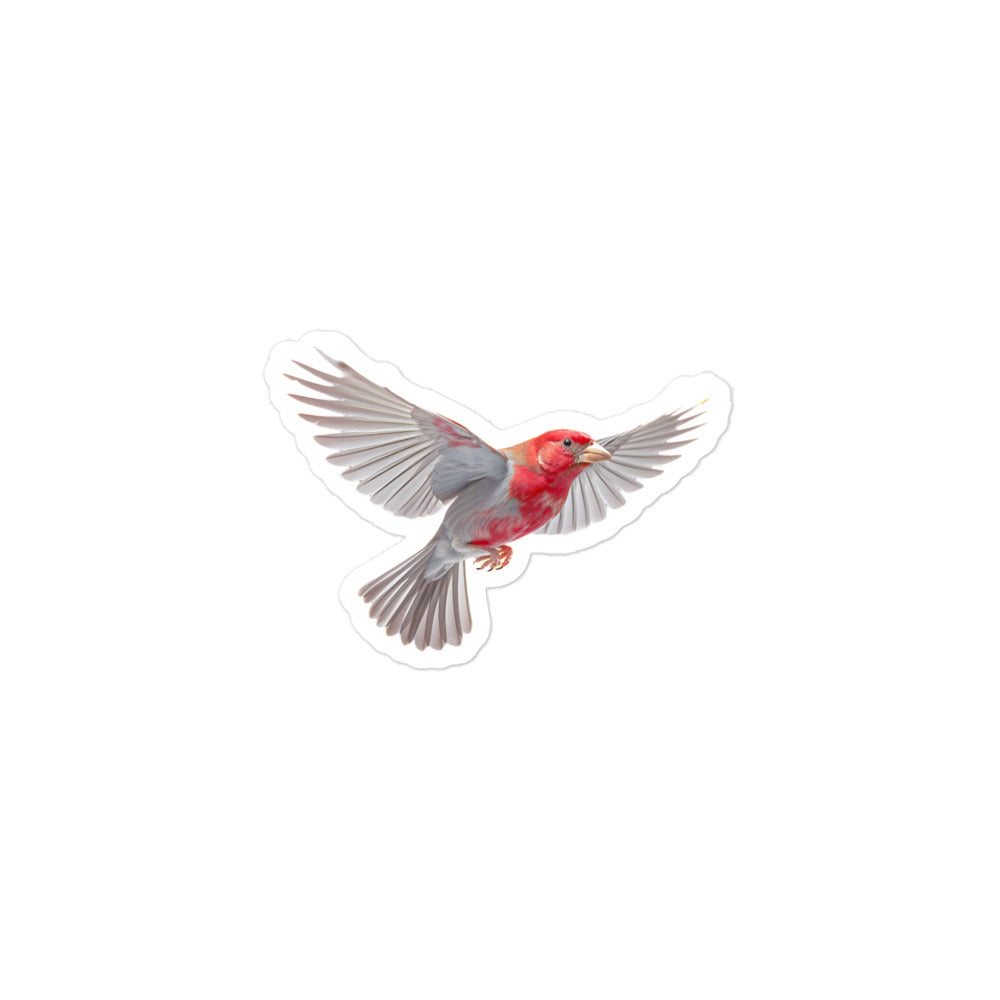 Red Headed Finch Sticker - Stickerfy.ai