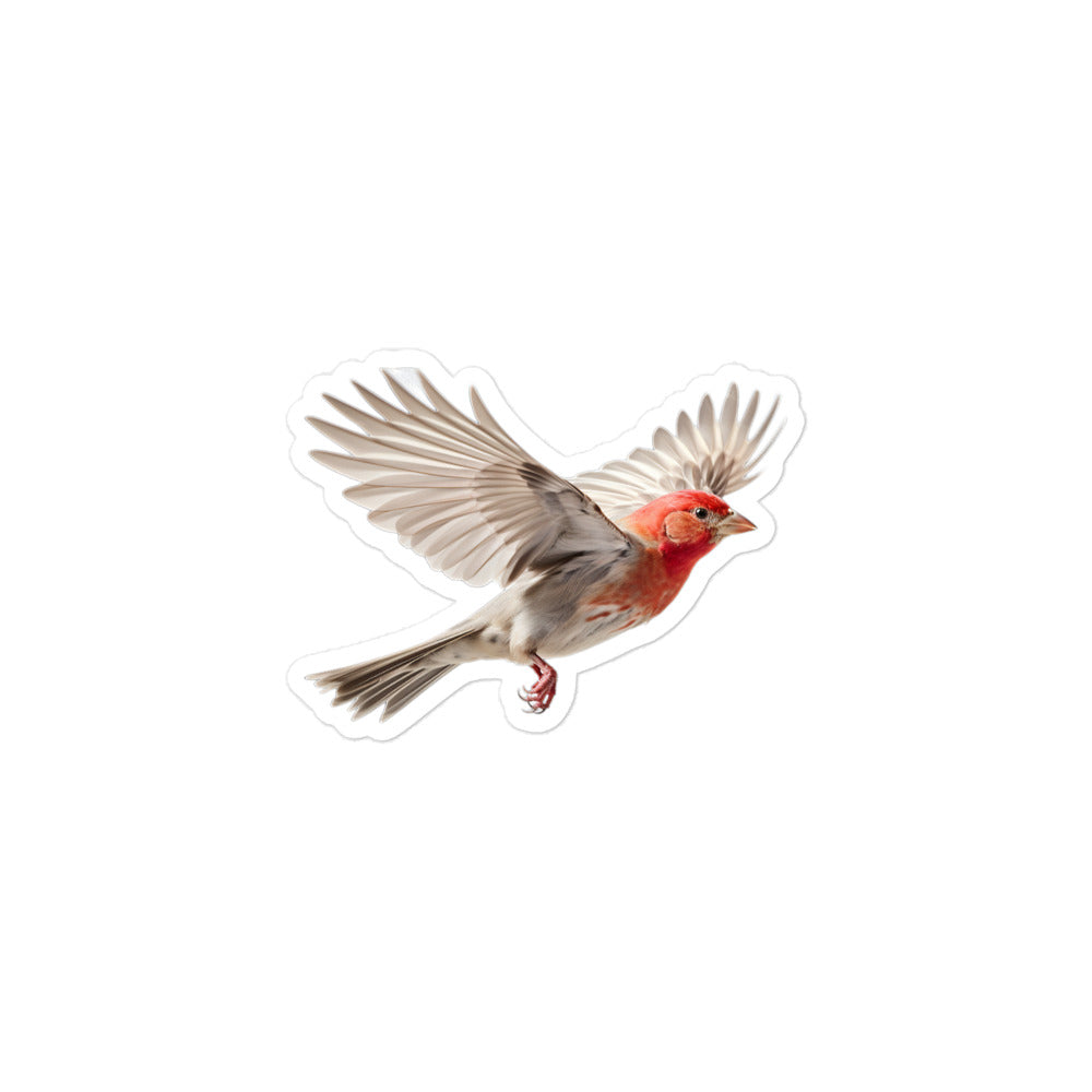 Red Headed Finch Sticker - Stickerfy.ai