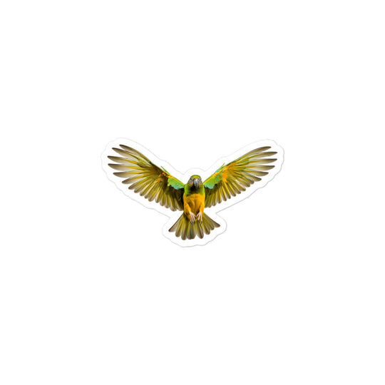 Senegal Parrot Sticker - Stickerfy.ai