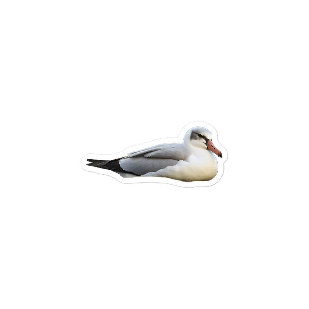 Albatross Sticker - Stickerfy.ai