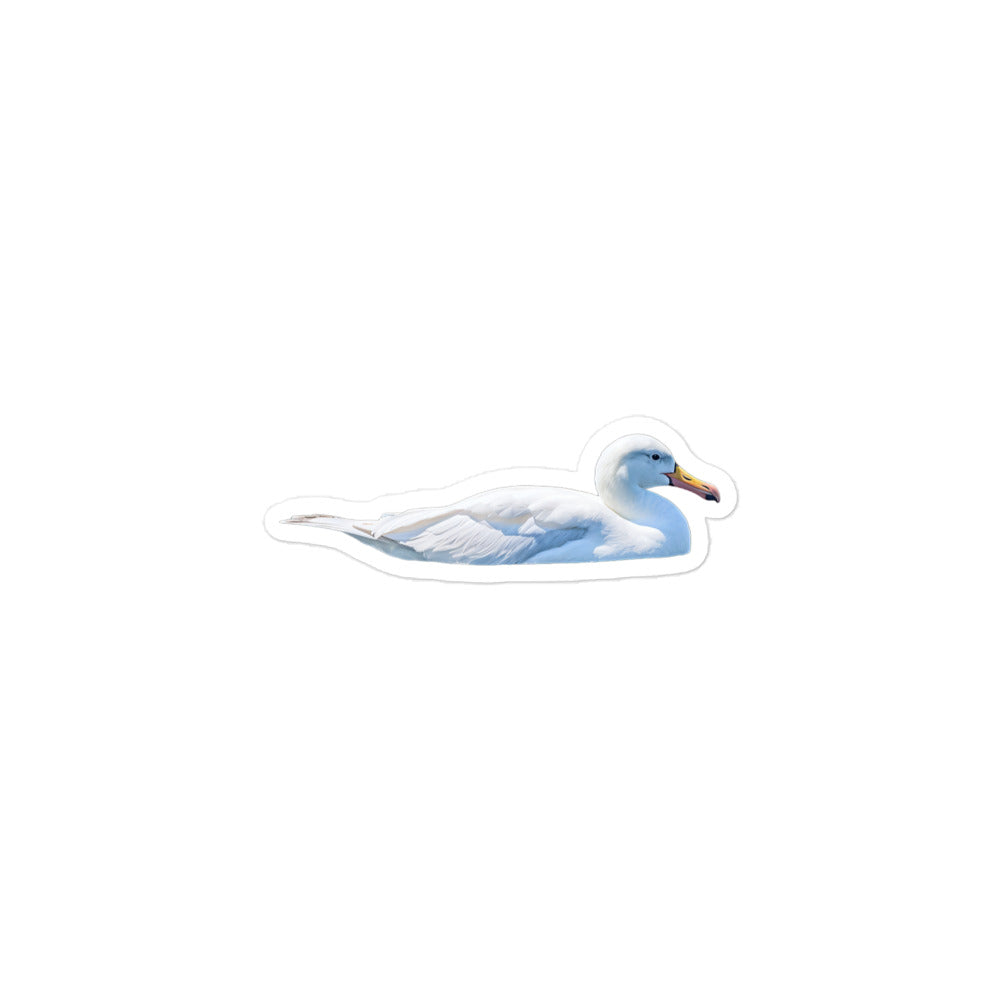 Albatross Sticker - Stickerfy.ai