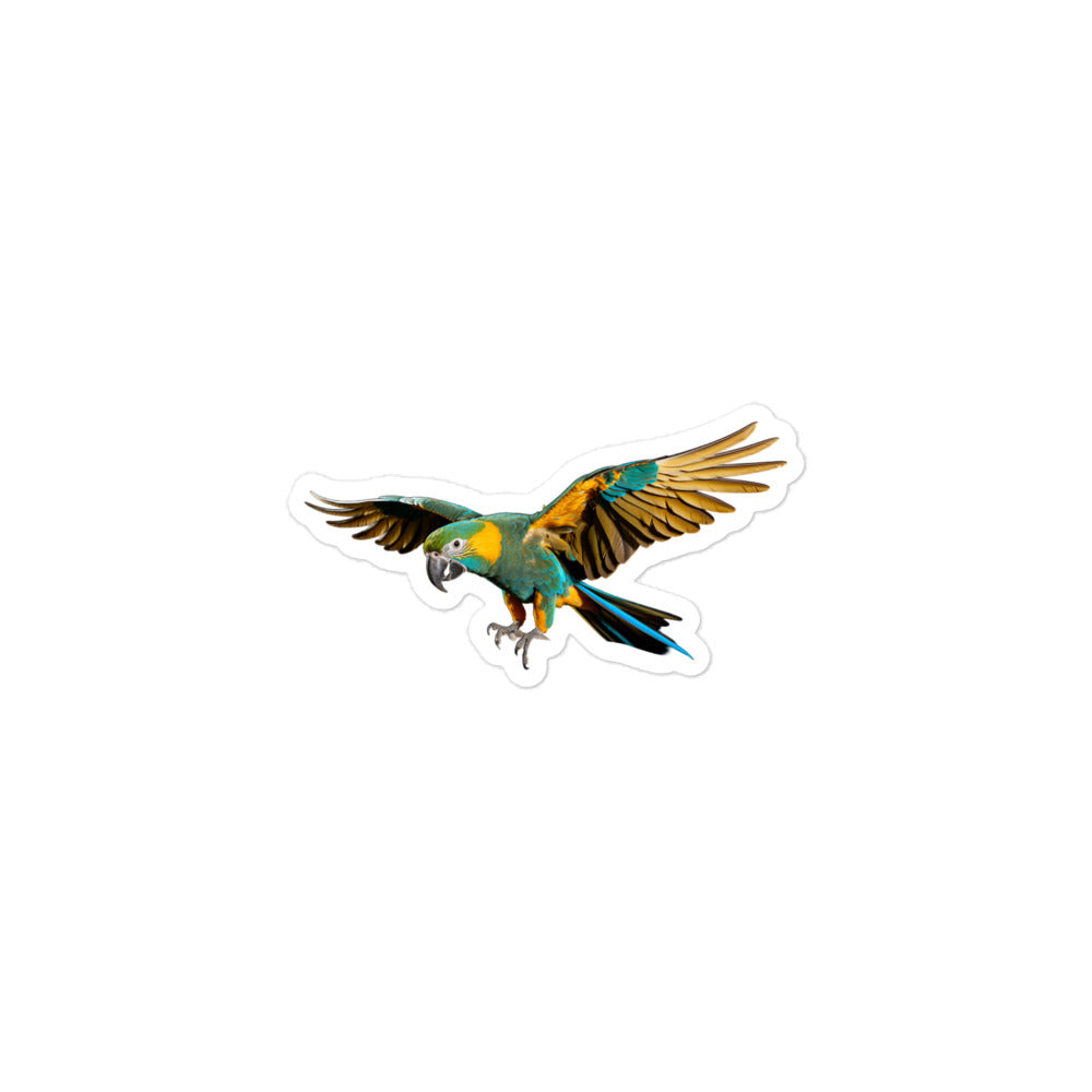 Blue Fronted Amazon Parrot Sticker - Stickerfy.ai