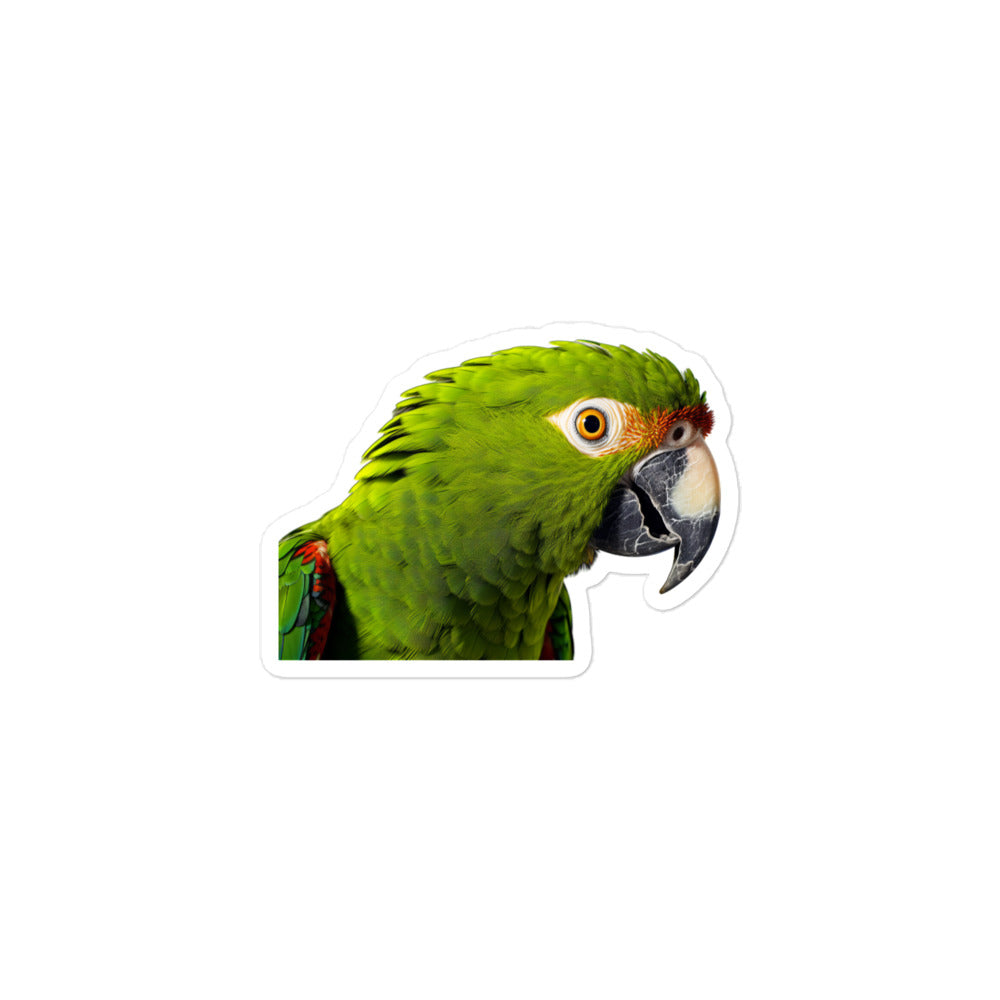 Amazon Parrot Sticker - Stickerfy.ai