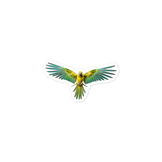 Amazon Parrot Sticker - Stickerfy.ai