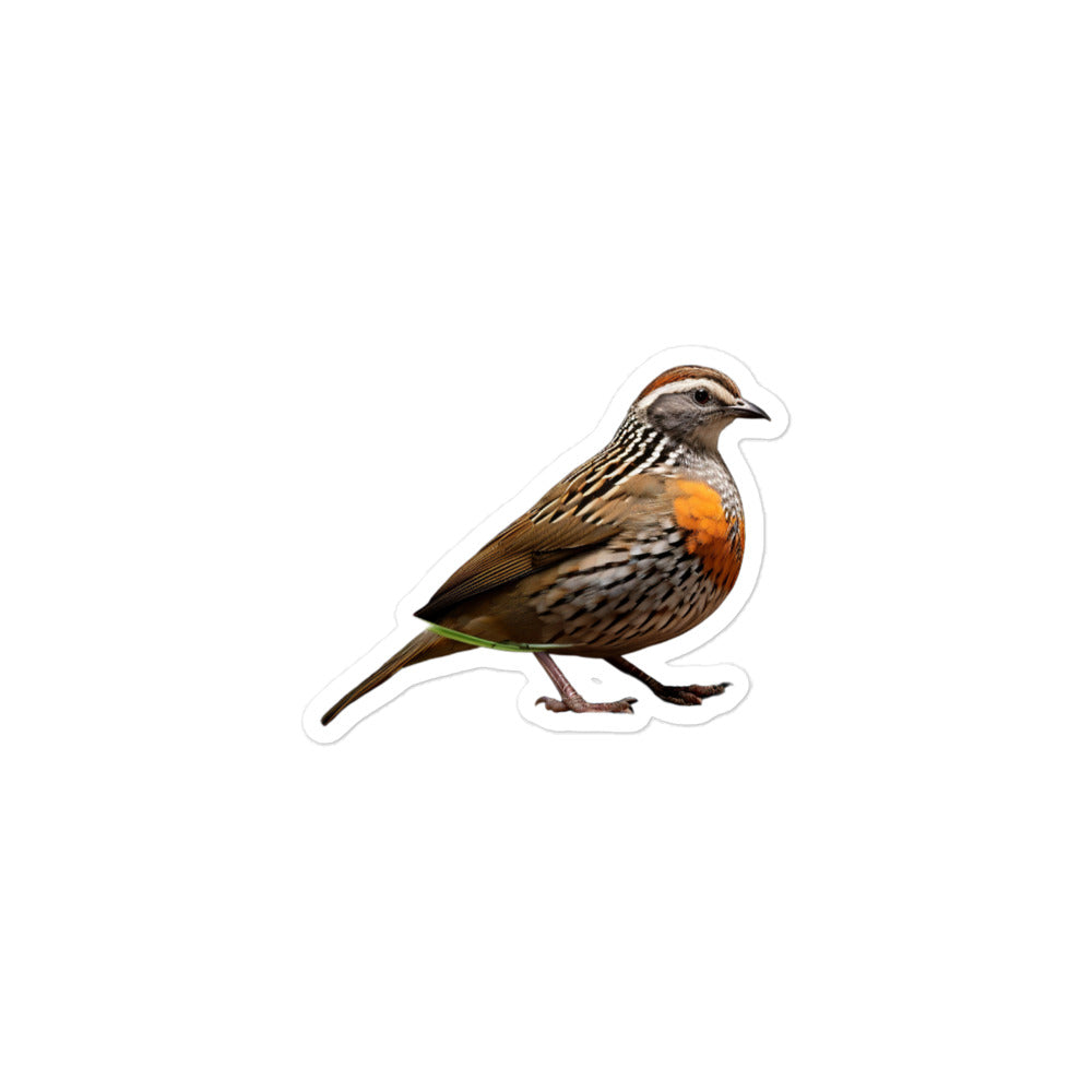 Quail Sticker - Stickerfy.ai