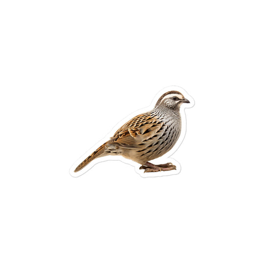 Quail Sticker - Stickerfy.ai