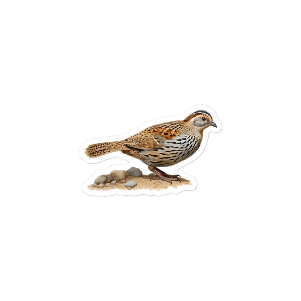 Quail Sticker - Stickerfy.ai