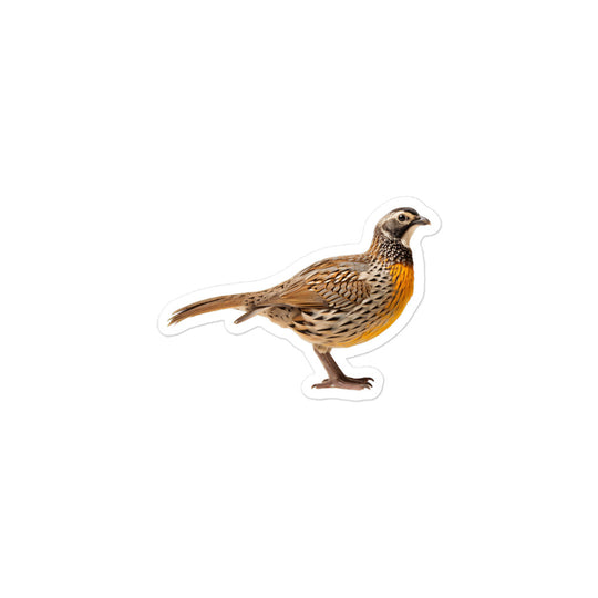 Quail Sticker - Stickerfy.ai