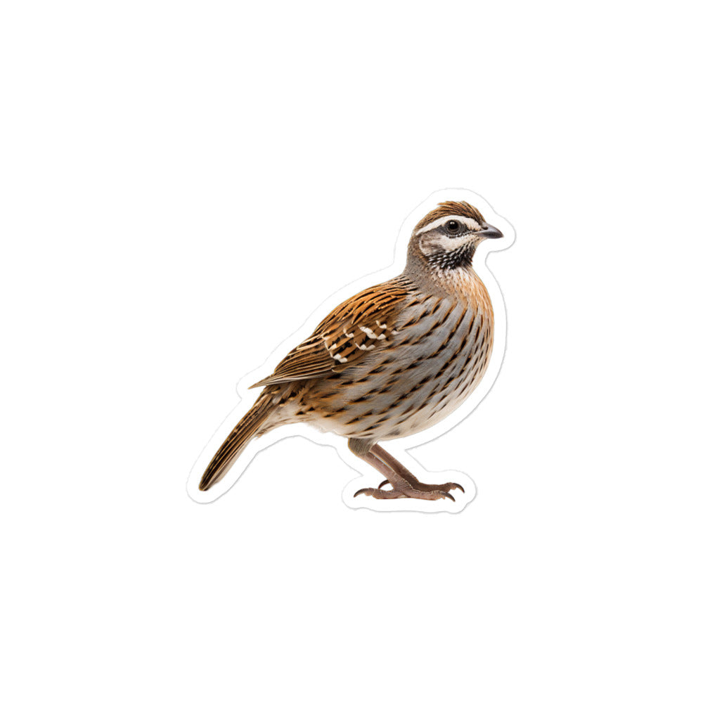 Quail Sticker - Stickerfy.ai