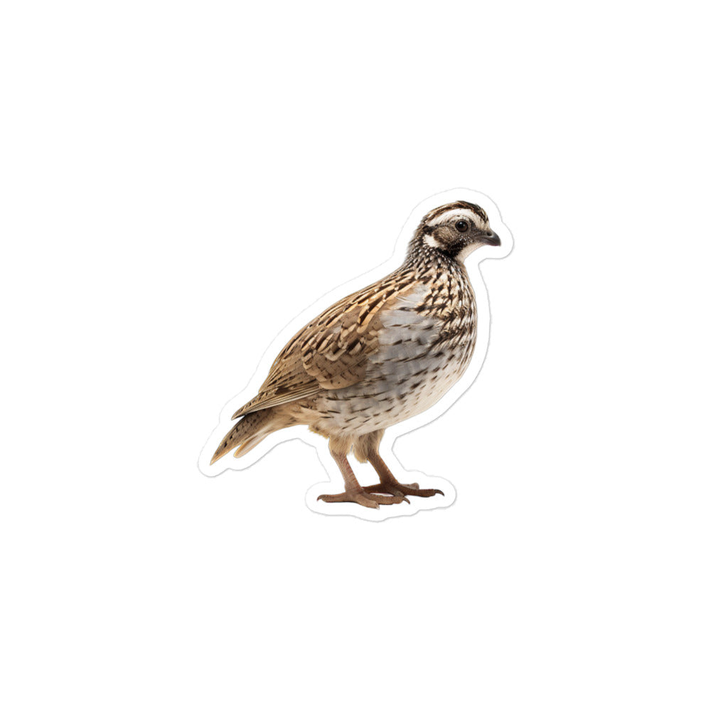 Quail Sticker - Stickerfy.ai