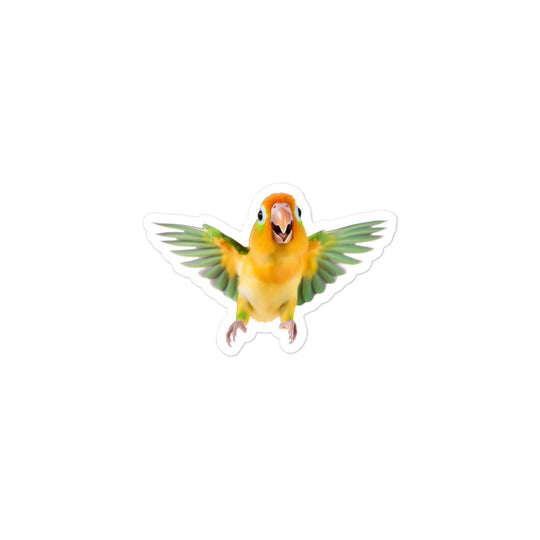 Fischer's Lovebird Sticker - Stickerfy.ai