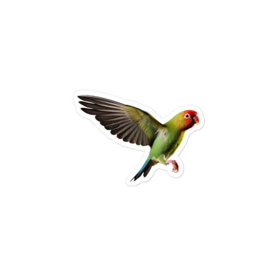 Fischer's Lovebird Sticker - Stickerfy.ai