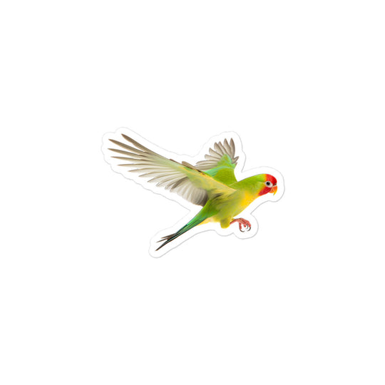 Fischer's Lovebird Sticker - Stickerfy.ai