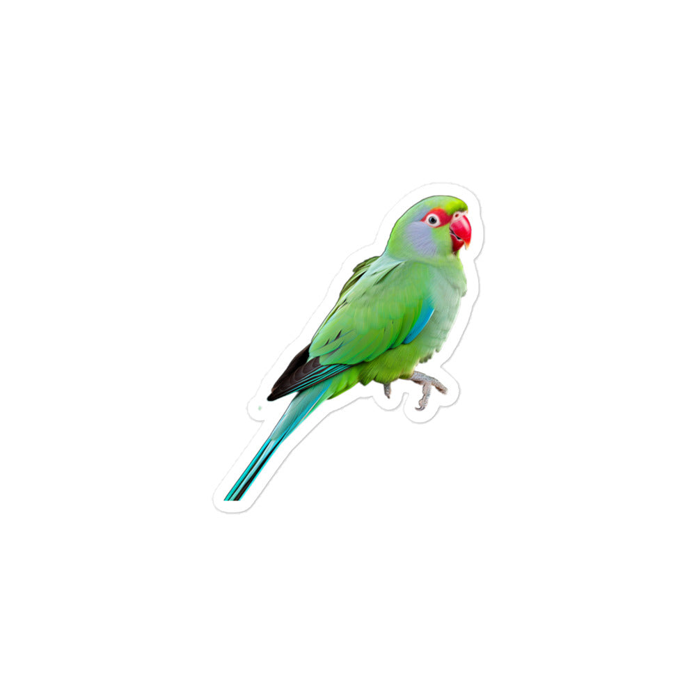 Alexandrine Parakeet Sticker - Stickerfy.ai