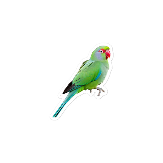 Alexandrine Parakeet Sticker - Stickerfy.ai