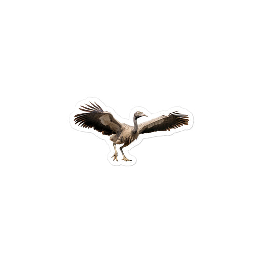 Ostrich Sticker - Stickerfy.ai