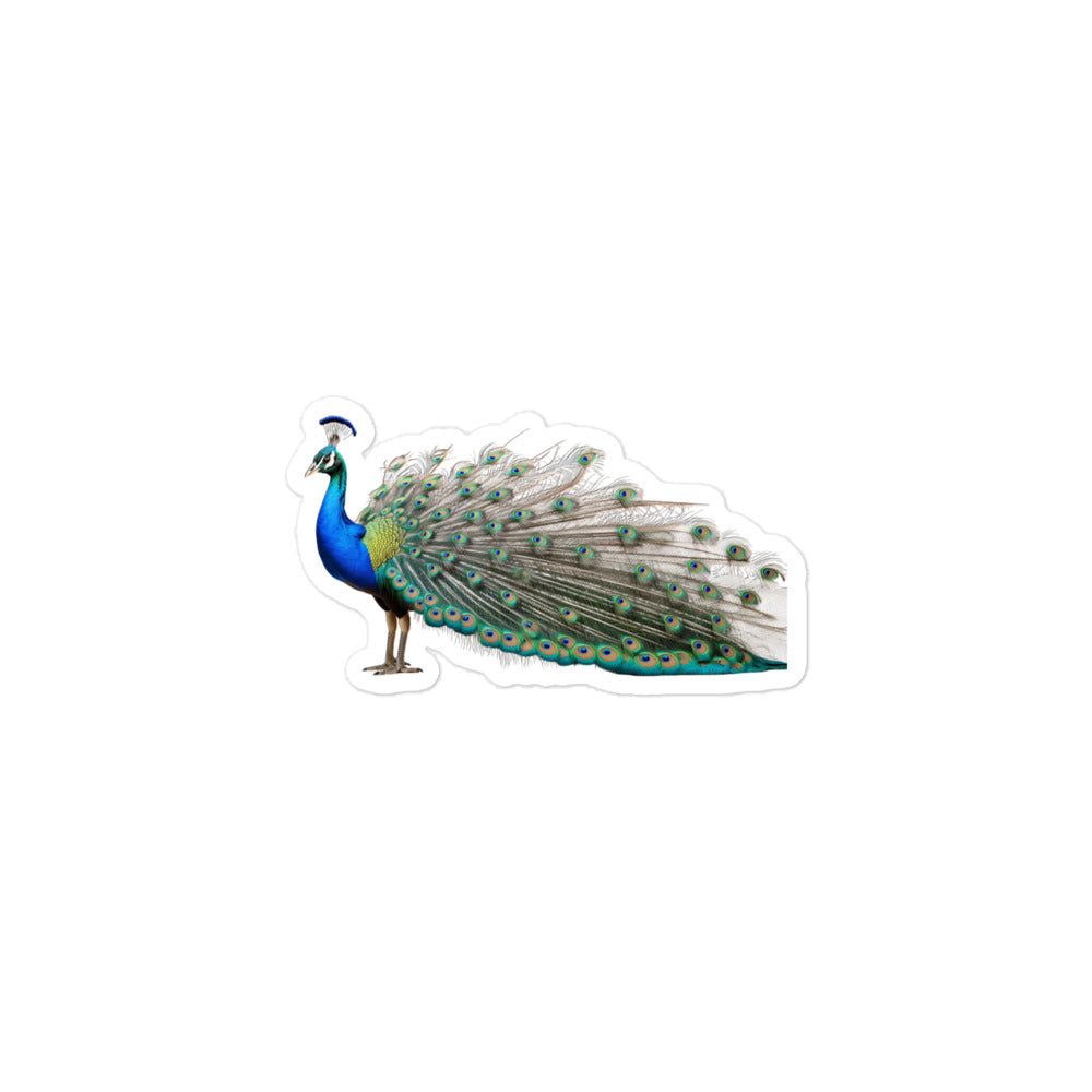 Peacock Sticker - Stickerfy.ai