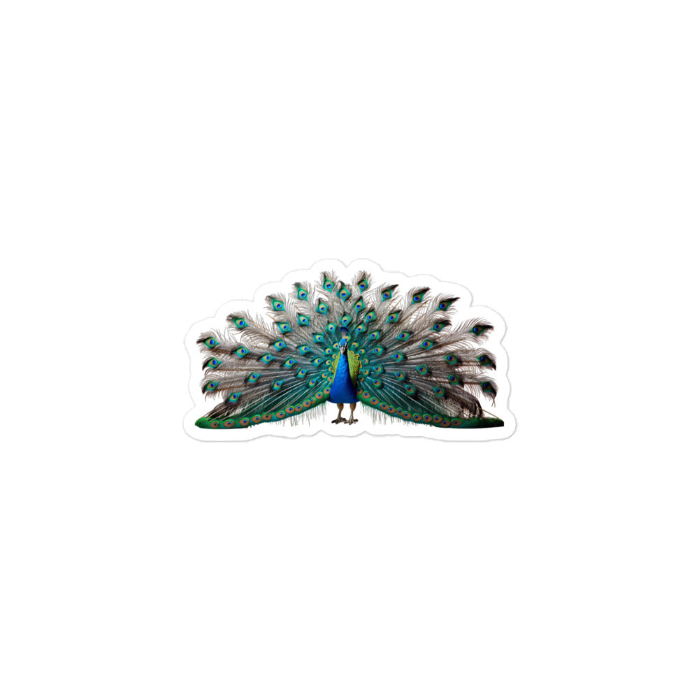 Peacock Sticker - Stickerfy.ai