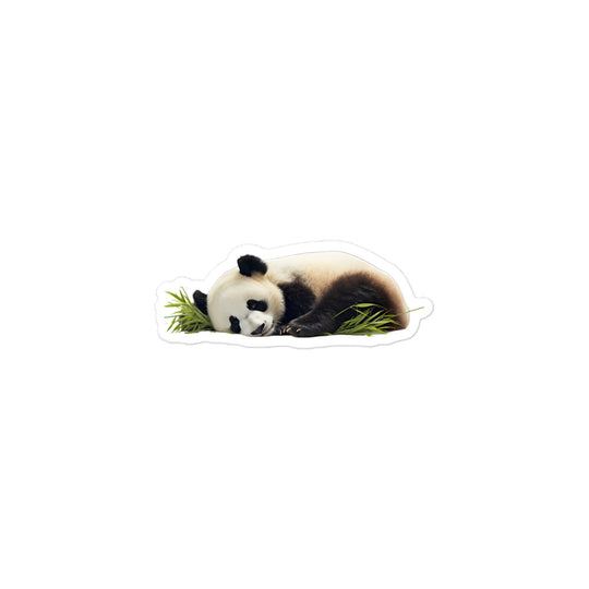 Panda Sticker - Stickerfy.ai