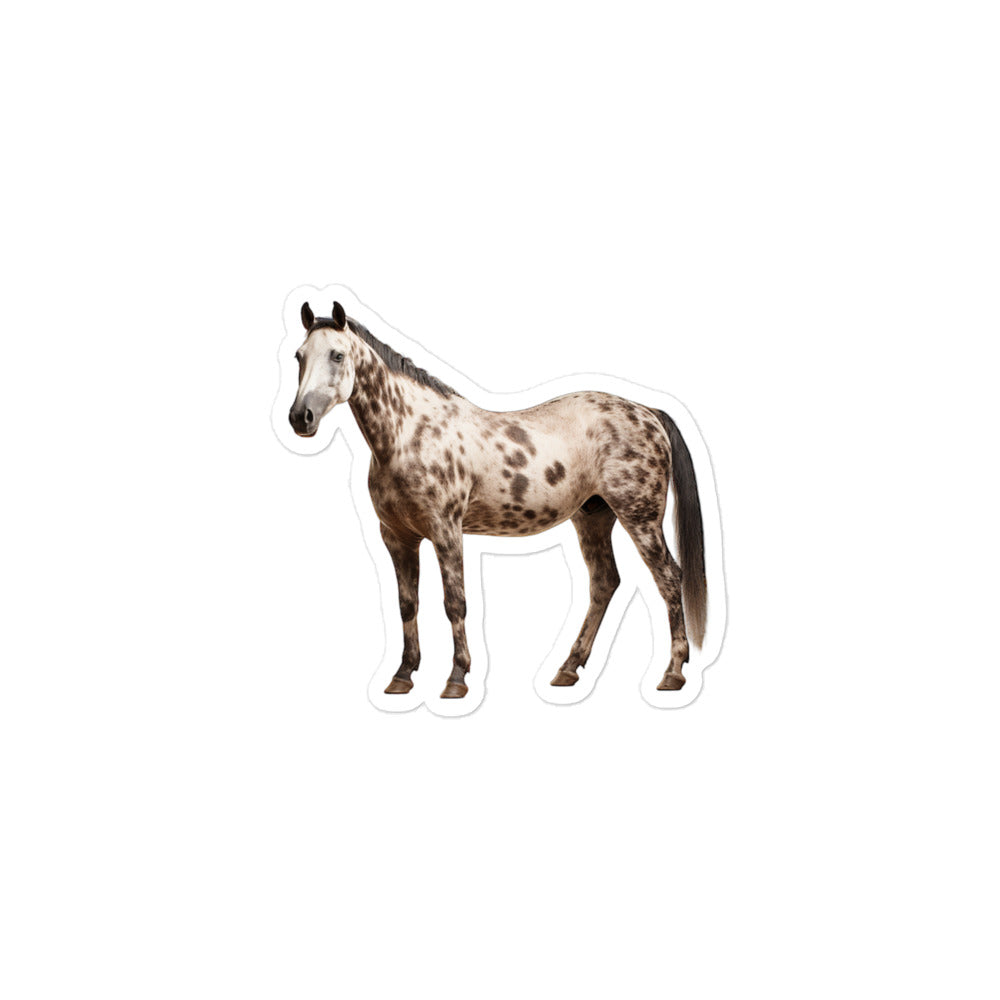 Appaloosa Horse Sticker - Stickerfy.ai